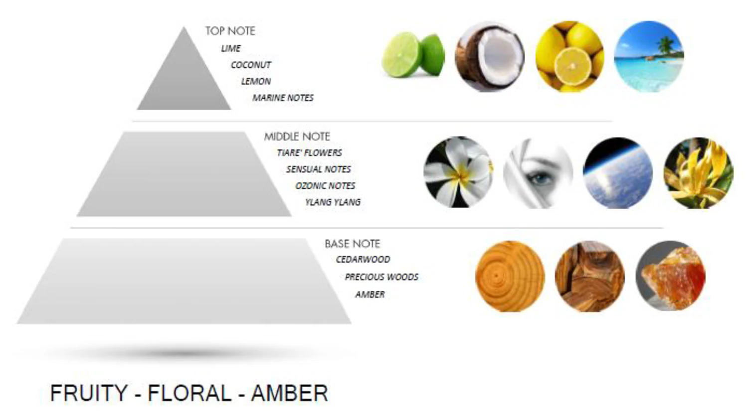 Foresta by Amazing Creation, Perfume for Men and Women, Parfum, 50 ml - Image 3