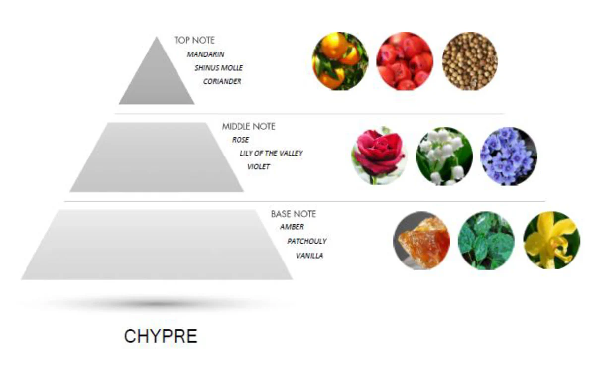 Motivo By Amazing Creation Perfume for Men, Parfum, 50ml - Image 3